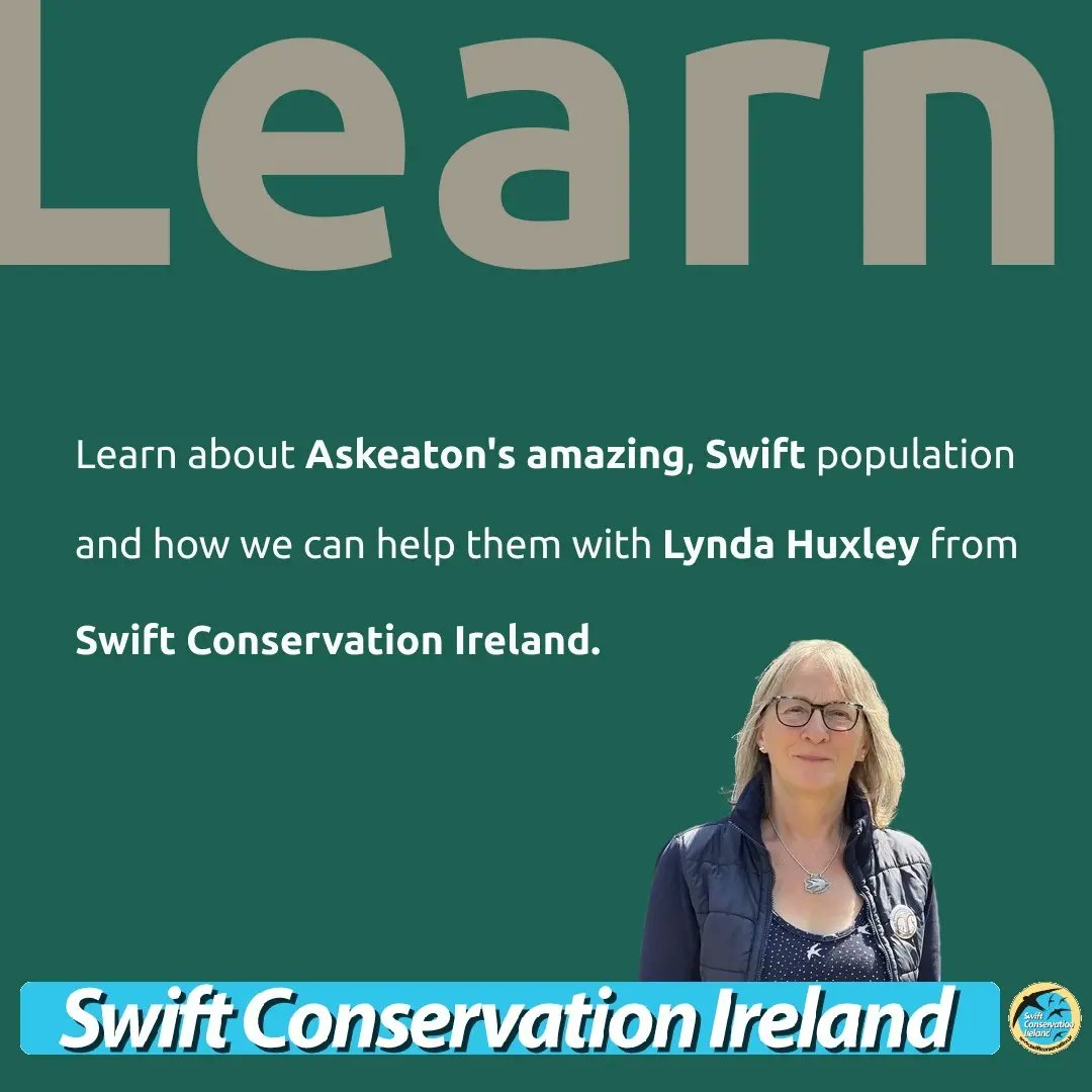 Learn about Swifts and what we can do to help them!

📍 Askeaton Community Hall 
🗓️ Saturday 6th July 2024
🕐 19.00

Swifts are an urban migratory bird that breed in Ireland and winter in tropical Africa. In Askeaton we have a breeding population that we are working to protect 🪶