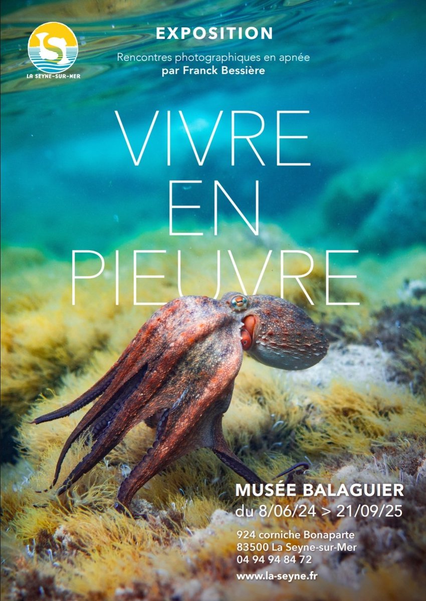 🙌Très heureux de découvrir cet excellent papier d'Oriane Bonfils et le beau portrait de Camille Dodet (merci pour sa patience 🙈) dans le Var-Matin du jour.🐙
varmatin.com/vie-locale/plo…