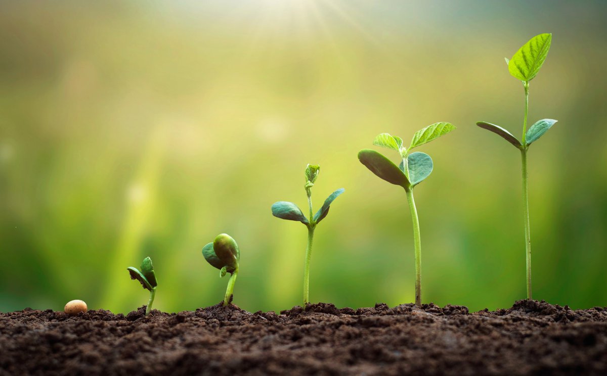 📢 Aprobada la propuesta de dictamen sobre competitividad agrícola! 🌱 🇪🇺
Continuaremos trabajando con los sectores para mejorar sus condiciones y enfrentar los retos. 💪🚜🤝#AgriculturaUE #DefenderenlaUE #CultivatingTheFuture <a href="/BrosetaPablo/">Pablo Broseta</a> #FCVRE