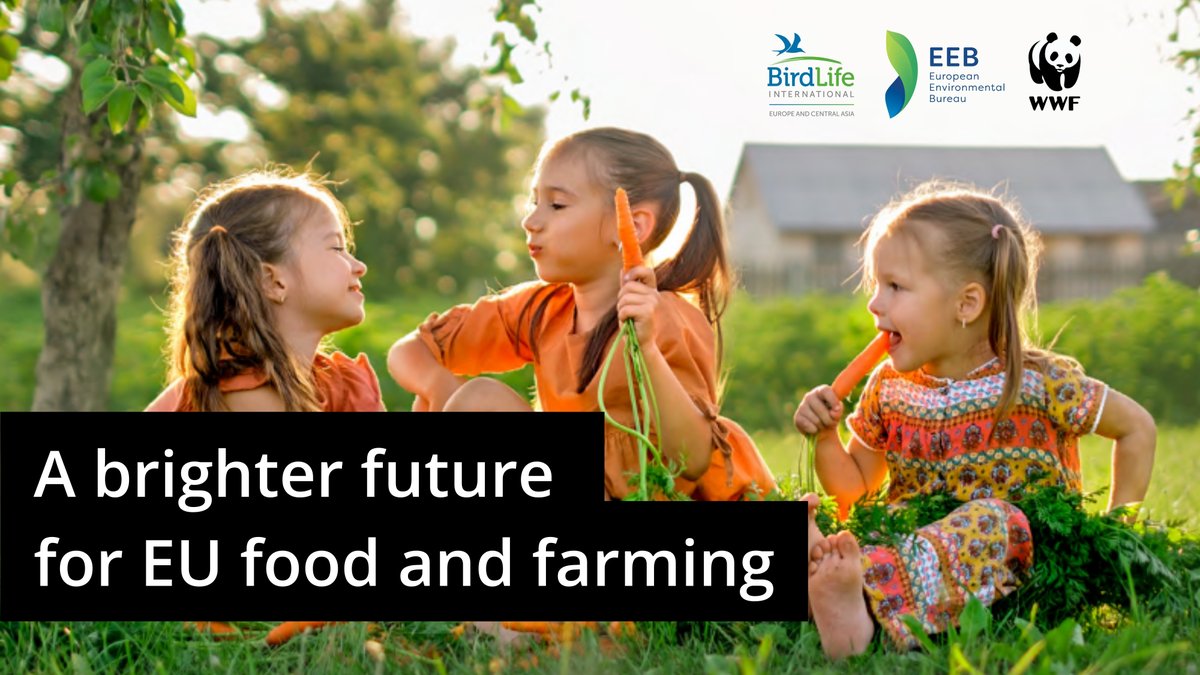 🚨 Our food &amp; farming systems face critical challenges: climate change, biodiversity loss, pollution, geopolitical tensions &amp; socio-economic pressures.

🌾As 🇪🇺#AgriFish Ministers meet next Monday, we urge 💪 action for a sustainable future.

Our letter: wwfeu.awsassets.panda.org/downloads/2024…