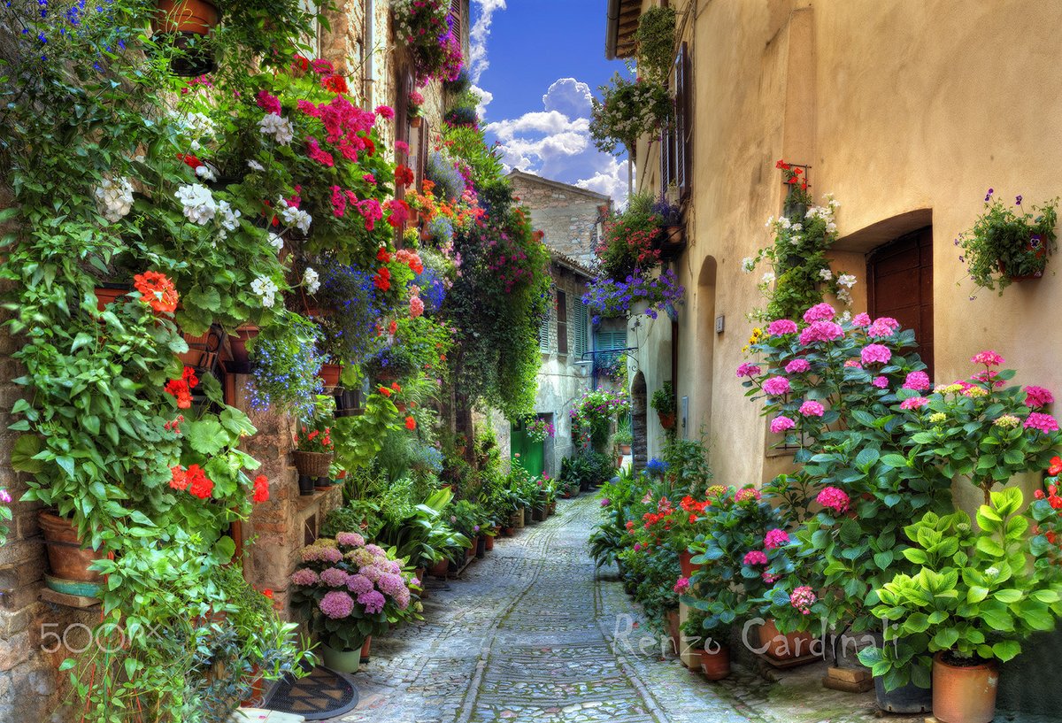 Spello, Umbria, Italy by Renzo Cardinali
