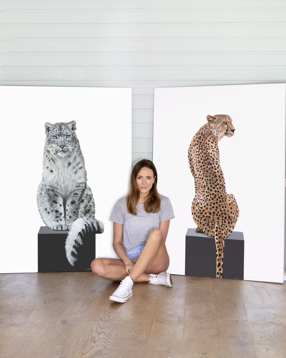 Sophie Green tweet media