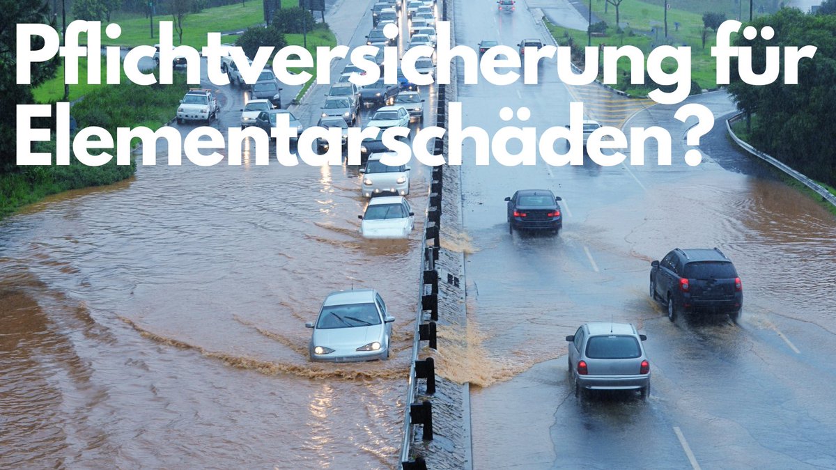 Die Einführung einer #Pflichtversicherung für #Elementarschäden in Deutschland ist derzeit ein heiß umstrittenes Thema.

Stand Juni 2024:

Die Länder fordern die Einführung einer Pflichtversicherung: Nach den #Hochwasserkatastrophen der letzten Jahre sehen viele Länder eine