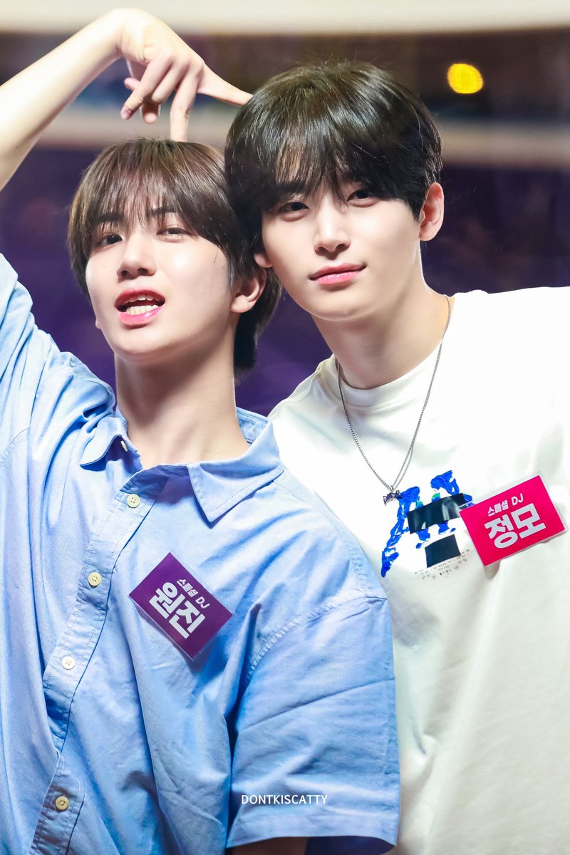 tomatoz🍅 tweet media