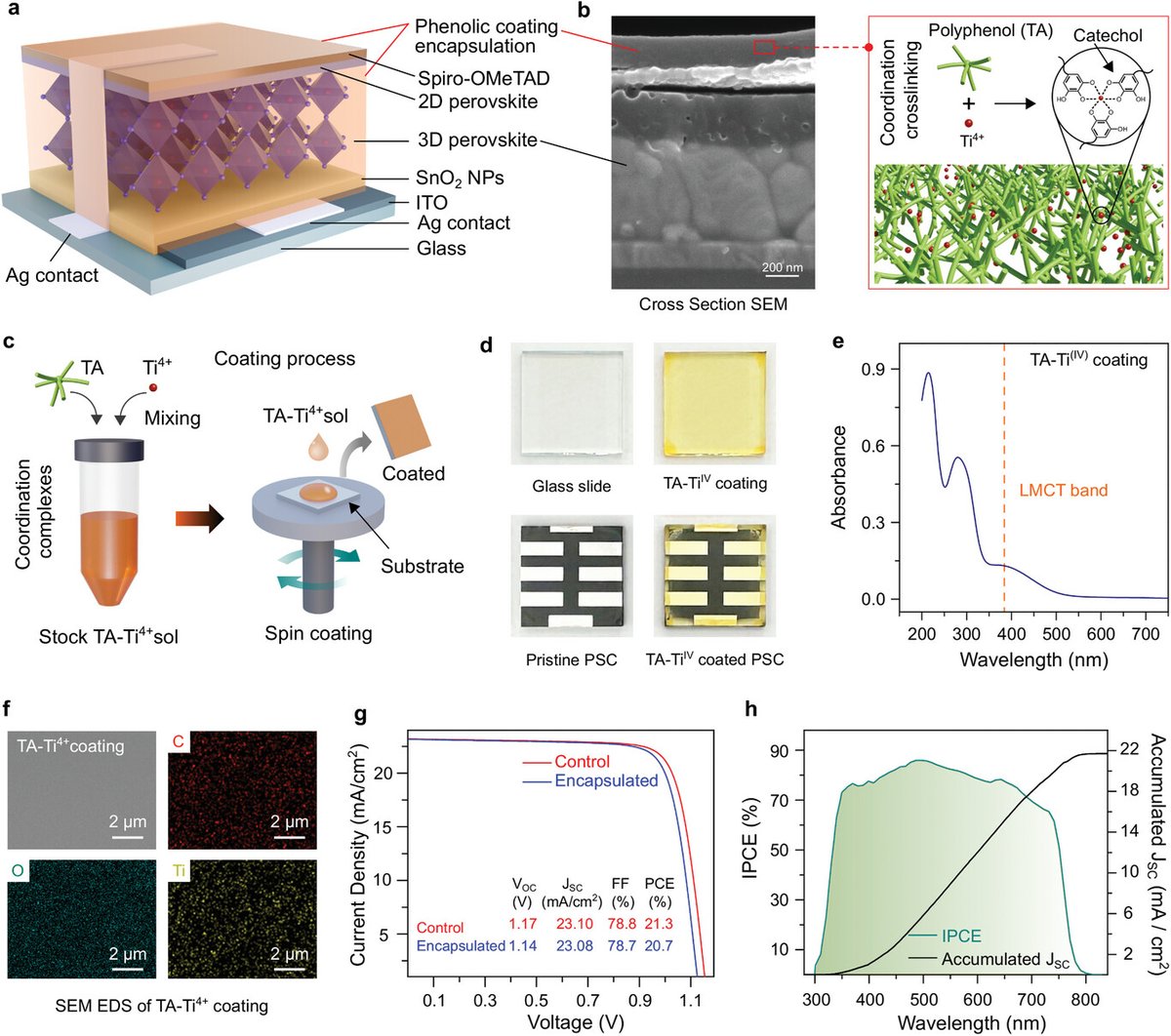Kourosh Kalantar-Zadeh (@k_kalantarzadeh) on Twitter photo "Stable and Lead-Safe Polyphenol-Encapsulated Perovskite Solar Cells" A novel nanoencapsulation platform using natural polyphenols for Pb-halide perovskite solar cells Our collaborative work led by Md. Arifur Rahim
<a href="/MARahim1722/">Md. Arifur Rahim</a>
onlinelibrary.wiley.com/doi/10.1002/ad… "Stable and Lead-Safe Polyphenol-Encapsulated Perovskite Solar Cells" A novel nanoencapsulation platform using natural polyphenols for Pb-halide perovskite solar cells Our collaborative work led by Md. Arifur Rahim
<a href="/MARahim1722/">Md. Arifur Rahim</a>
onlinelibrary.wiley.com/doi/10.1002/ad…