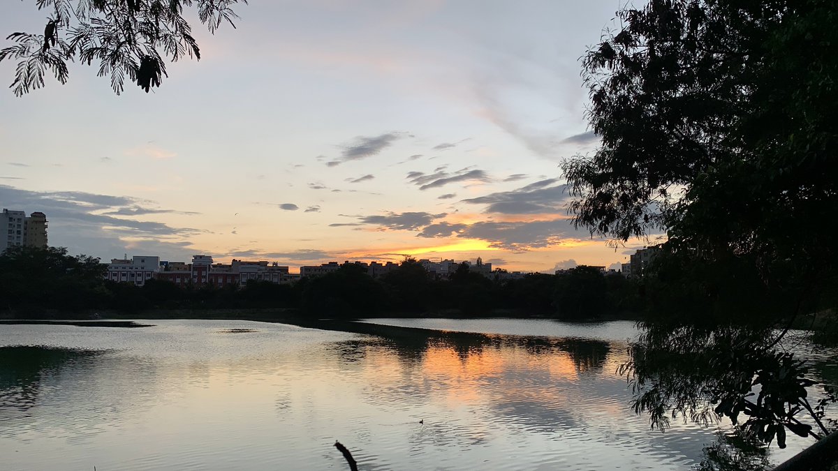 pratiikksingh's tweet image. 