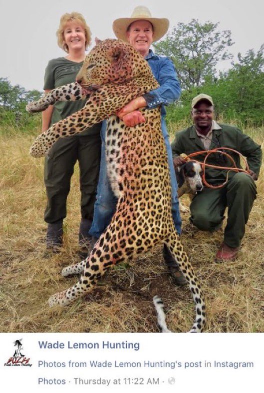 Please RETWEET if you AGREE there should be a global BAN on Trophy Hunting.