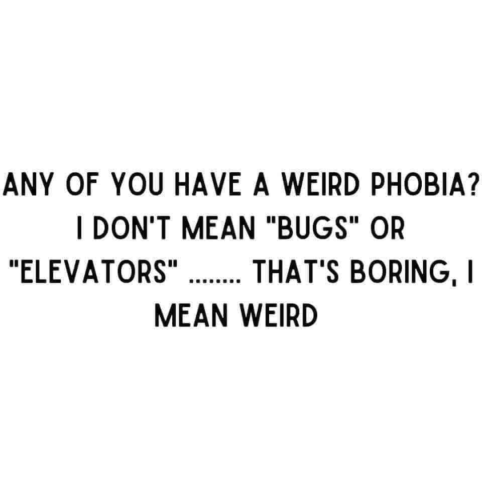 Giles Paley-Phillips tweet media