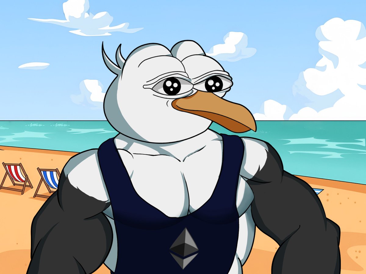 $STEVE the SEAGULL tweet media