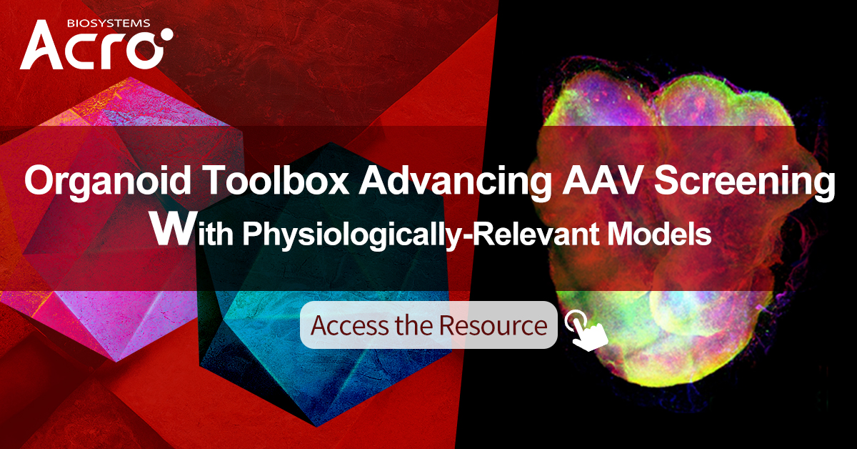 ACROBiosystems' Organoid Toolbox offers physiologically-relevant infection conditions, enabling more accurate assessment of AAV vector performance for gene therapy applications. 
Click to discover more about the Organoid Toolbox: acrobiosystems.com.cn/A1992.html?utm…