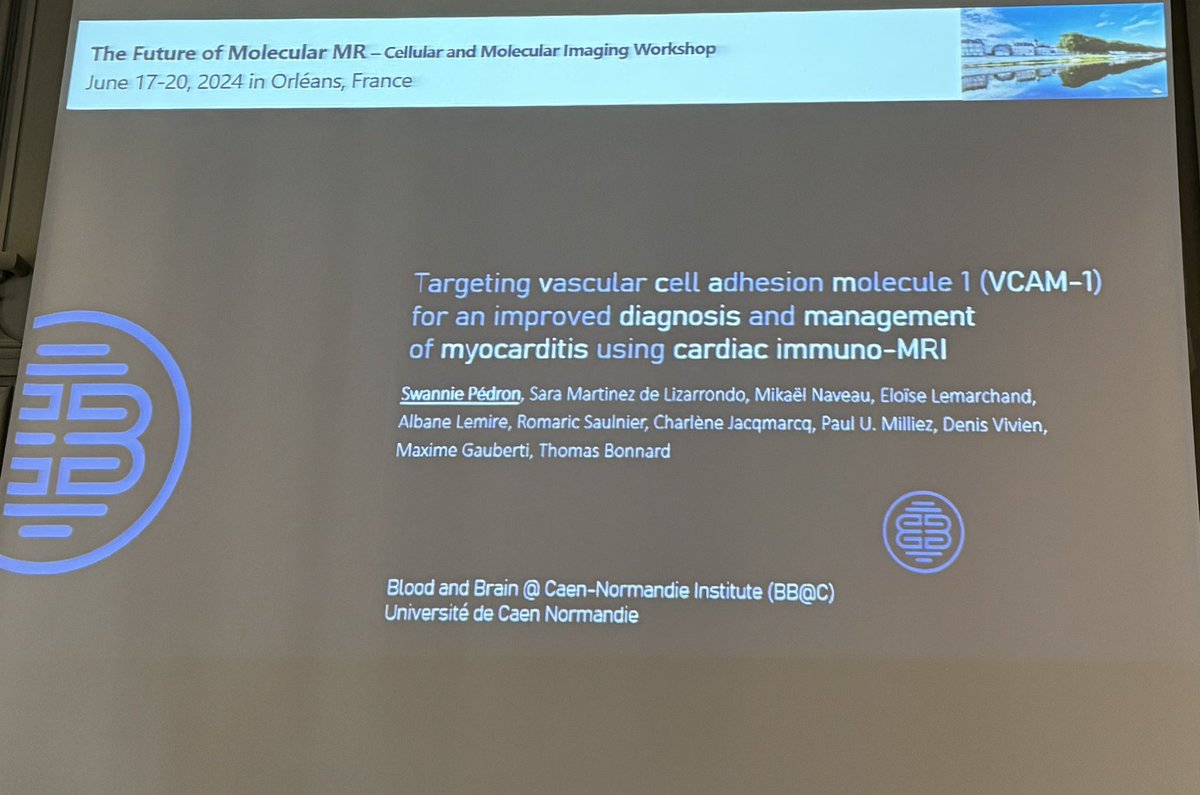 <a href="/PedronSwannie/">Swannie Pédron</a>'s turn : she presented her data of cardiac immuno-MRI of myocarditis using micro-sized targeted-probes 🌑🔥🫀  #thefutureofMolecularMR