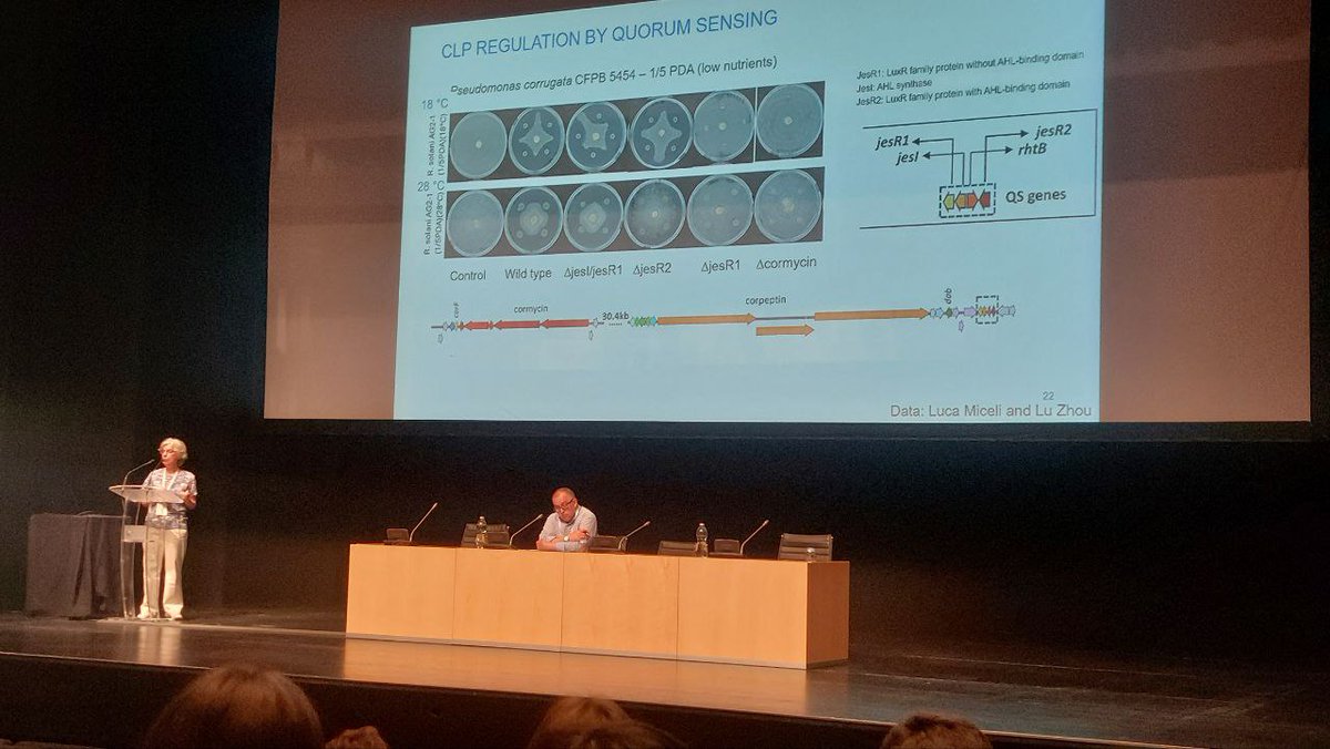 Day 3!! 
Monica Höfte from <a href="/ugent/">UGent</a>
"UNVEILING THE REGULATORY MECHANISMS GOVERNING
LIPOPEPTIDE PRODUCTION IN PSEUDOMONAS POLYPRODUCERS TO ENHANCE THEIR BIOCONTROL POTENTIAL" at <a href="/IobcIr/">IOBC BioProTech Conference</a> 

#IOBCBioProtechCS

#innovation #bioproducts #agriculture  #sustainability #plantbioprotech