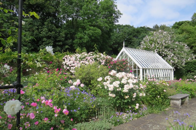 The two magnificent gardens at 103 &amp; 105 Dulwich Village, SE21 7BJ are open this Sunday 23 June, 2-5pm for <a href="/StChrisHospice/">St Christopher's</a>. Regional finalists for The Nation’s Favourite Garden 2023. Teas, extensive plant sales from both gardens and wind quartet.