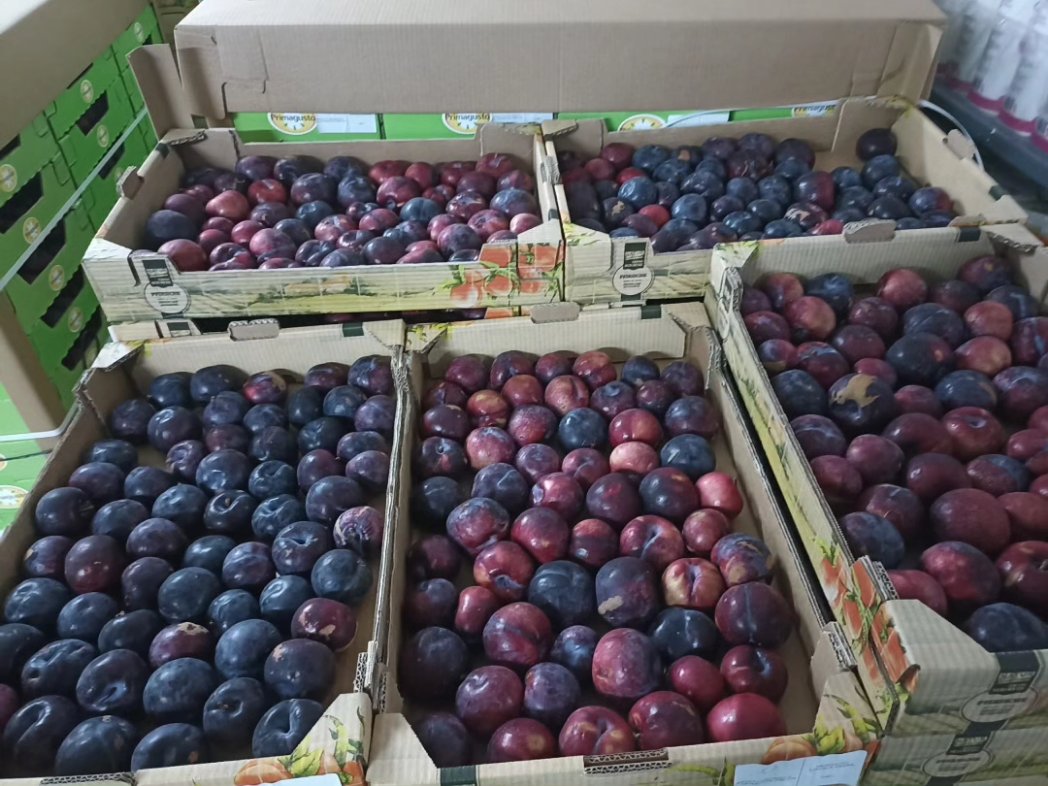 Banco de Alimentos Cáceres tweet media