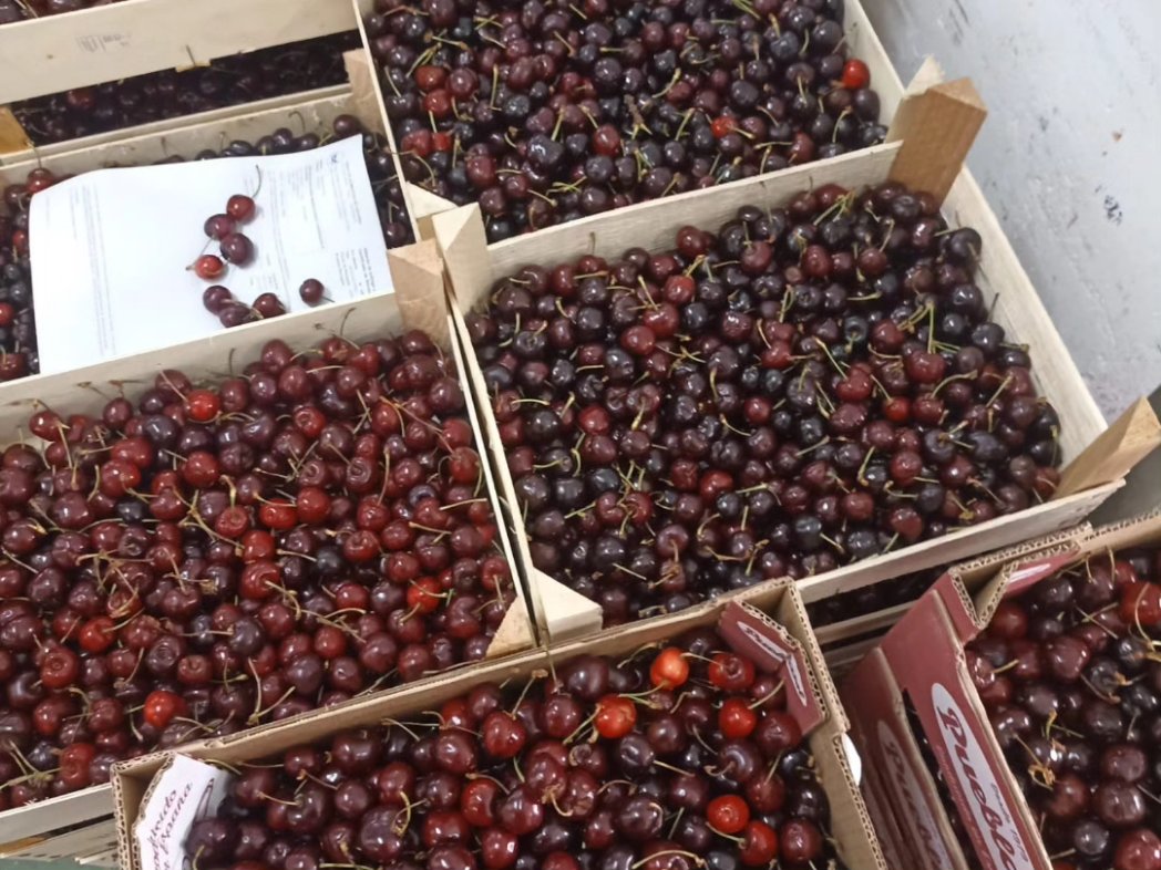 Banco de Alimentos Cáceres tweet media