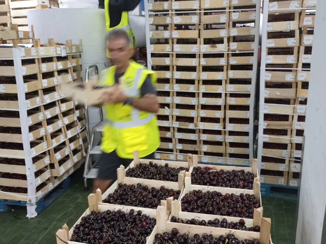 Banco de Alimentos Cáceres tweet media