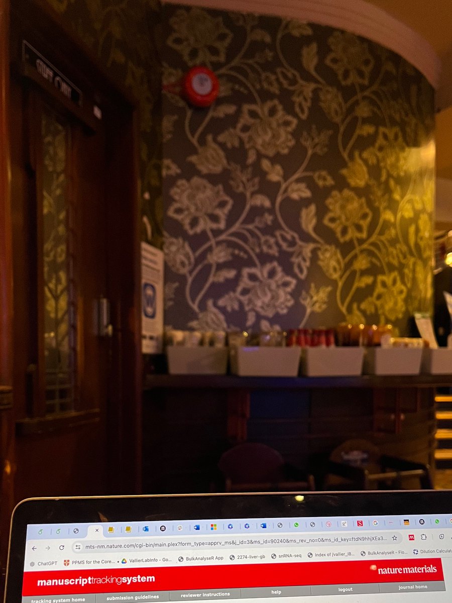 Submitting my first ever first author manuscript using Wetherspoons WiFi may be the most British thing I’ve ever done