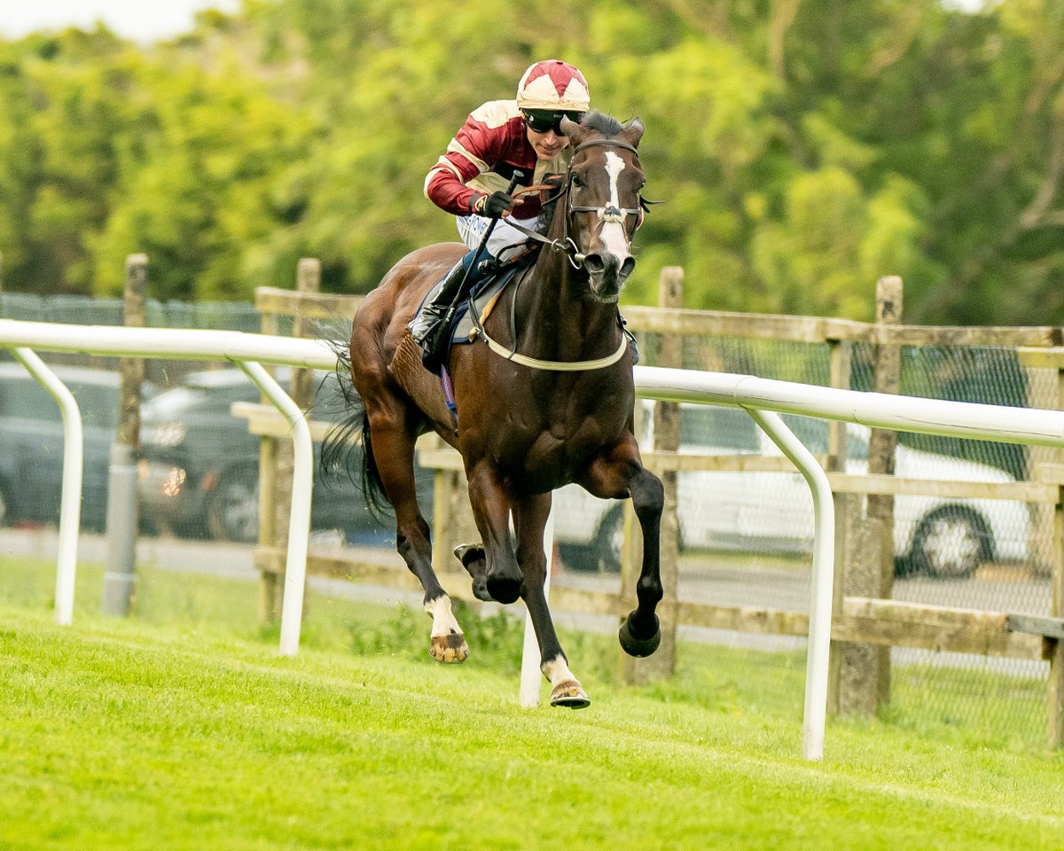 Brighton Racecourse (@brightonrace) on Twitter photo RACE 3 RESULT - Enjoy A Free Digital Racecard At raceday-ready.com Handicap
🥇 King Of Scotia
🥈 Ceilidh
🥉 Oh So Audacious
Jockey: William Carver
Trainer: <a href="/osbornejamie/">Jamie Osborne</a>
Owner: Jim And Claire Limited And Partner
<a href="/dcoolimages/">Darren Cool Images</a> 📸
#BrightonRacecourse RACE 3 RESULT - Enjoy A Free Digital Racecard At raceday-ready.com Handicap
🥇 King Of Scotia
🥈 Ceilidh
🥉 Oh So Audacious
Jockey: William Carver
Trainer: <a href="/osbornejamie/">Jamie Osborne</a>
Owner: Jim And Claire Limited And Partner
<a href="/dcoolimages/">Darren Cool Images</a> 📸
#BrightonRacecourse