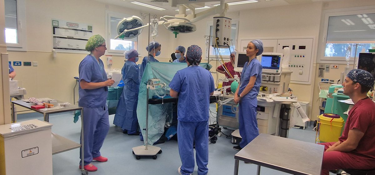 Steph Ryng tweet media