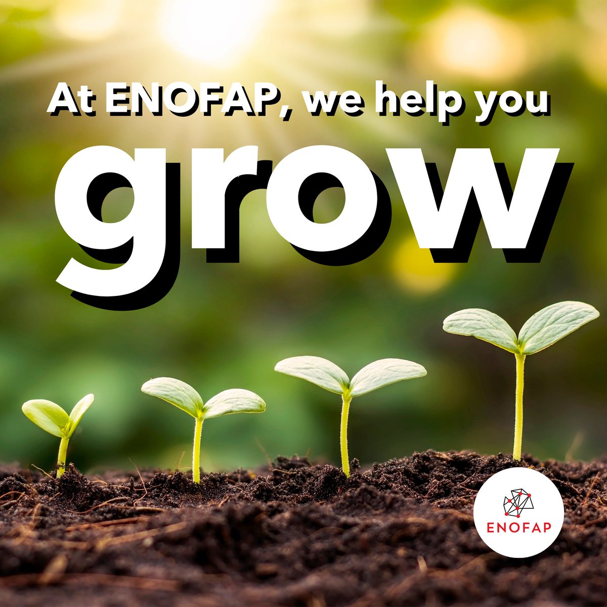 ENOFAP - Leader in Partnered Pedagogical Education tweet media