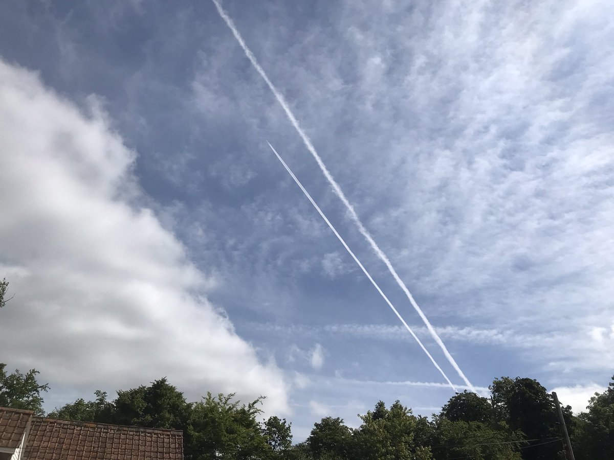 Blue sky over garden this morning!