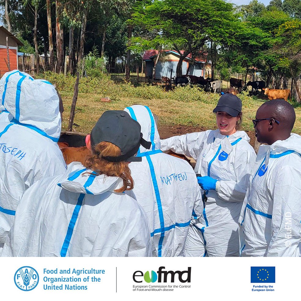 Great news! 🎉 We've extended the deadline to submit your proposal to the 11th call of the EuFMD Technical projects and field studies. 
2 weeks more to perfect your work! 
 
🔔30 June 
 
👉 bit.ly/3yxm8eU