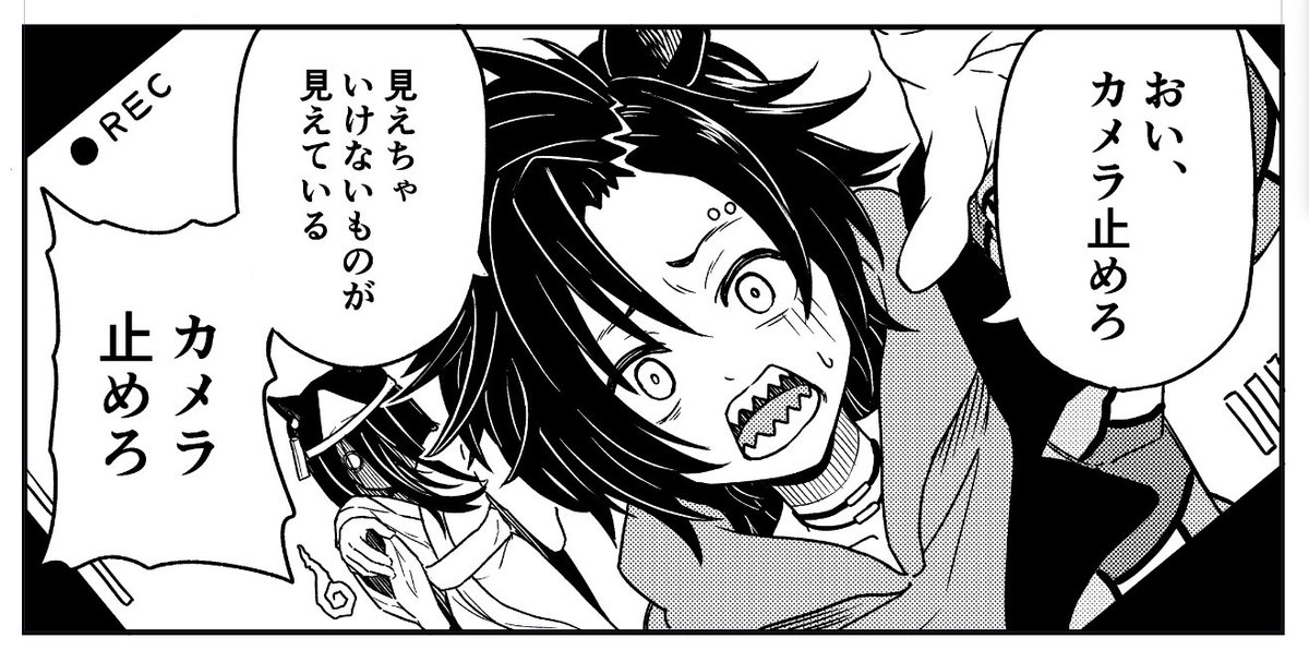 エアシャカールまとめ 