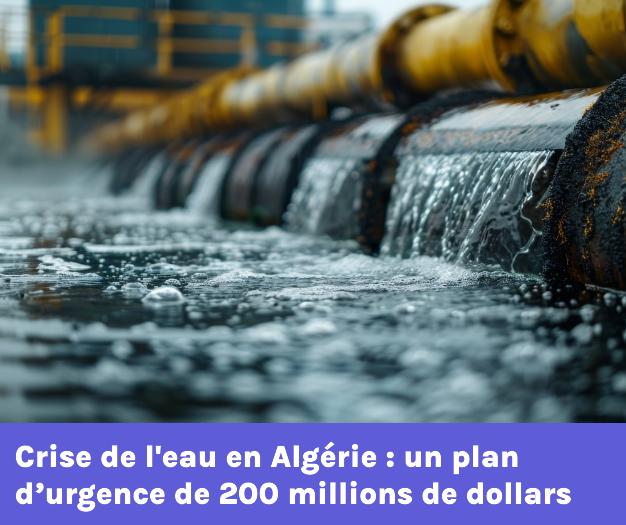 TSAlgerie's tweet photo. La crise de l’eau qui affecte la wilaya de Tiaret révèle les risques liés au réchauffement climatique en Algérie et la nécessité de changer d’approche dans la gestion de l’or bleu.
➡️L’article complet dans le premier commentaire https://t.co/PHSjCYtv5y
