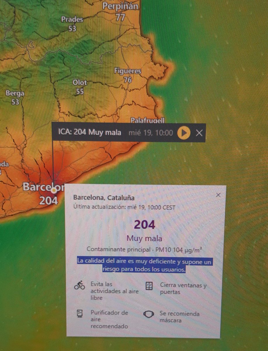 Lola Fernández tweet media