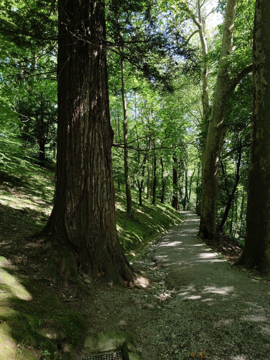 Aiete de <a href="/GipuzkoaDigital/">Gipuzkoa Digital</a>