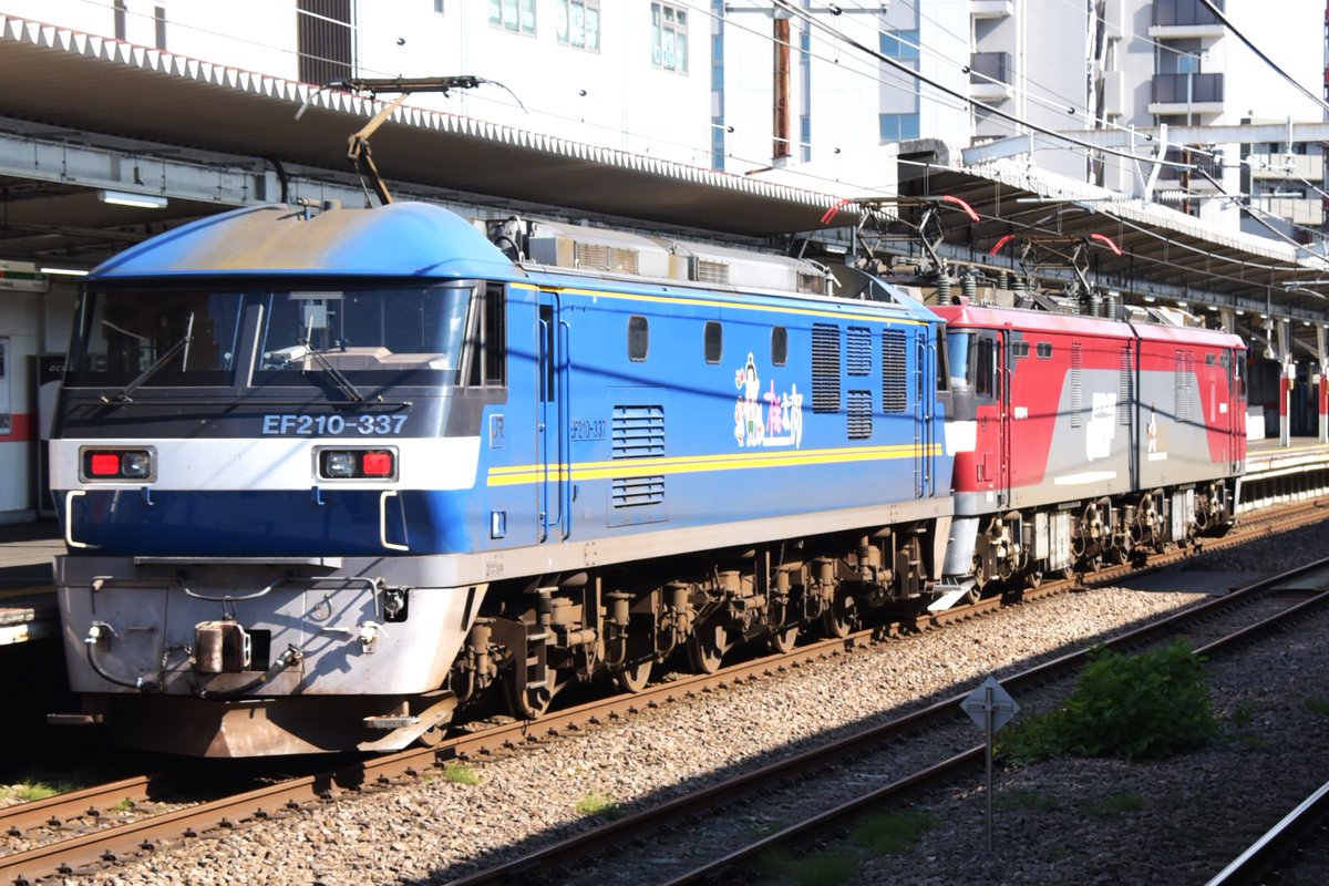 kuhane130's tweet photo. 2024/6/19 重単???? EH500-6+EF210-337
昨日の大雨の影響により2066ㇾ遅延及び5097ㇾ運休により、重単にて新鶴見へ返却
#EH500 #EH5006 #EF210 #EF210337 #5097運休 https://t.co/JLgxY4gWXn