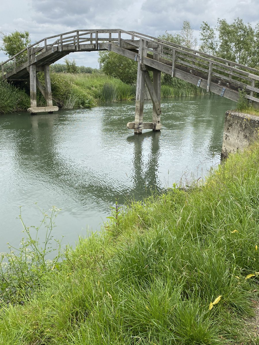 From the source of the Thames to Oxford, the Thames meanders across beautiful meadows, with their sprinkling of pepper saxifrage and other wildflowers. Not to mention the flutters of metallic blue demoiselles dancing around you! Crossed stone bridges and rickety ones #pilgrimage