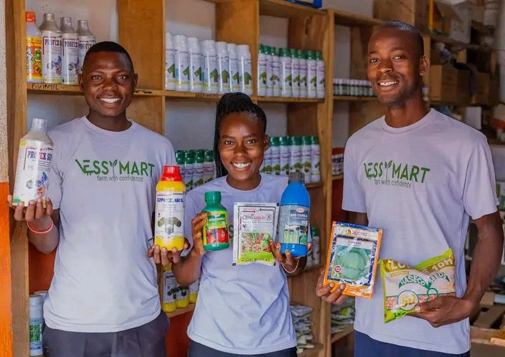 Essymart makes invests in sourcing high quality, stress tolerant seeds, fertilizers and pesticides that allows smallholder farmers realise Good harvests and increase incomes.
0775783344
0753134212