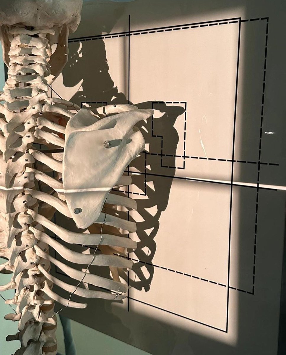 —Günaydın 
Radiologist life 🪄