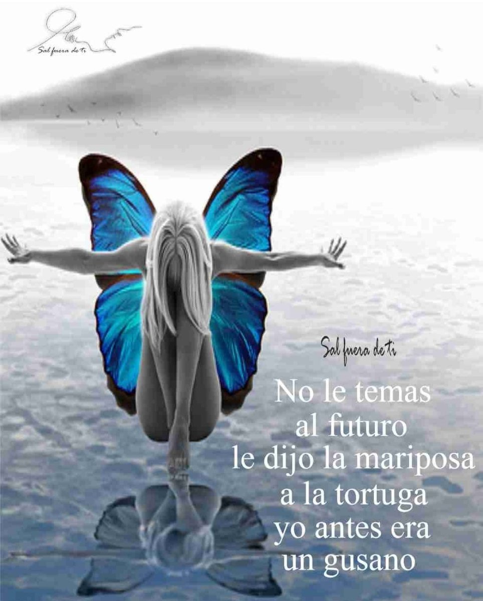 mrosa (@dominguez210576) on Twitter photo 