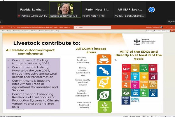 au_ibar's tweet photo. AU-IBAR &amp; @ILRI are hosting a hybrid Expert Write Shop in Naivasha, Kenya, June 18-21, 2024, under #RAFFS Project. Drafting memoranda for #livestock in Post-Malabo #CAADP, experts are setting the future outlook on livestock for the next decade. 
More Info:
https://t.co/VEa39zw8W8 https://t.co/kjGZAMQHBx