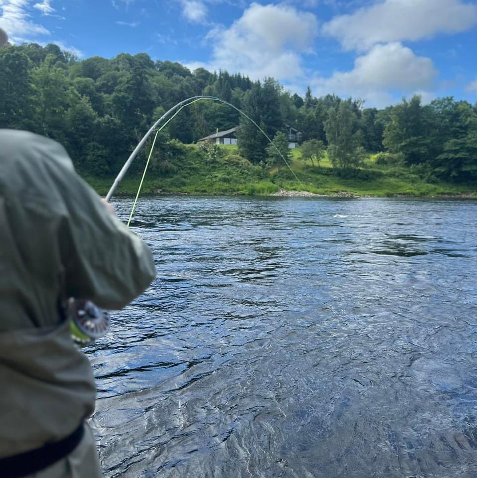 Tay Salmon Fishing tweet media