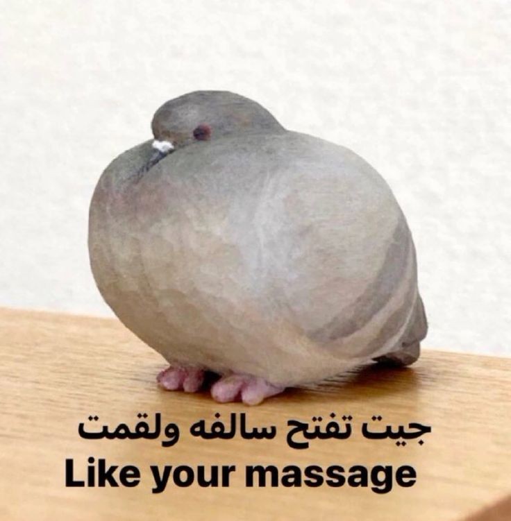 𝙝𝙖𝙢 ✰ (@1ssham) on Twitter photo 