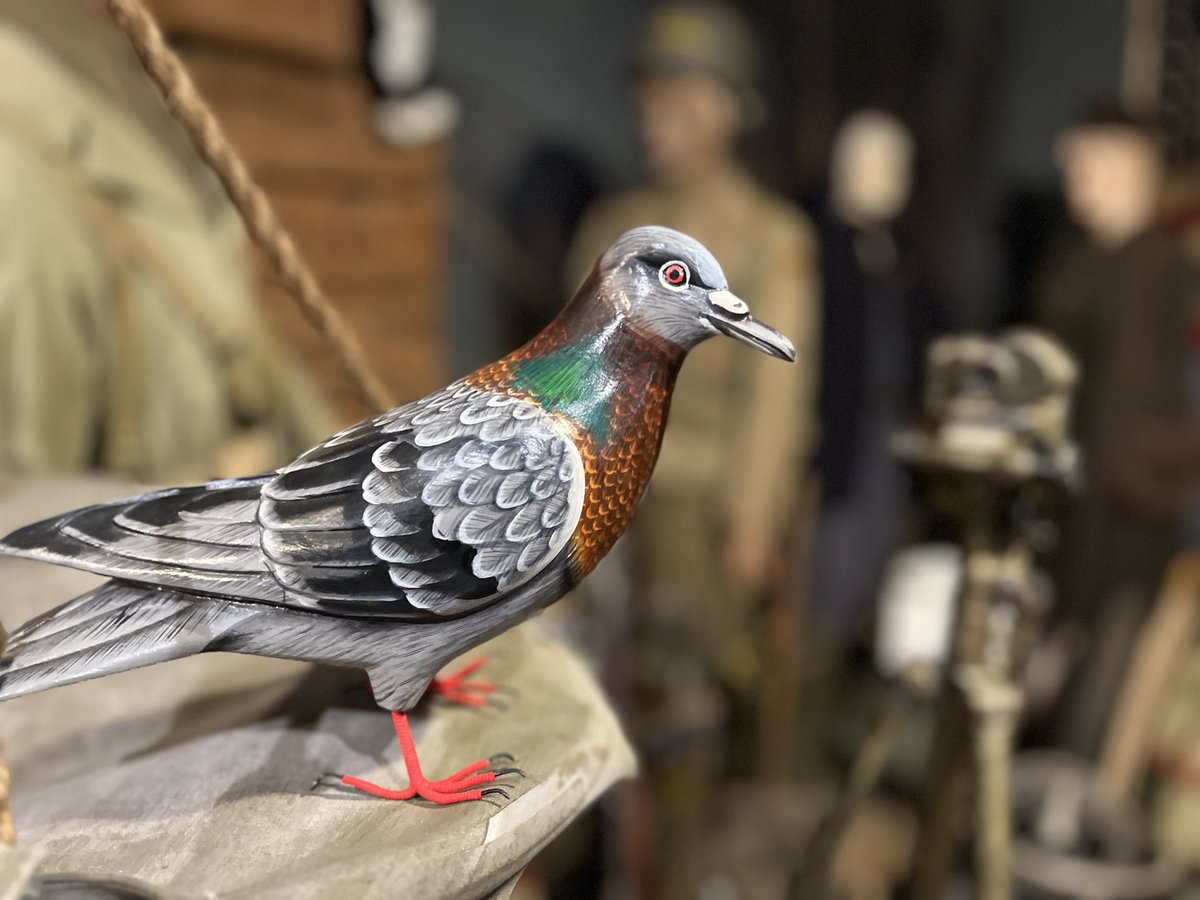 Paul Reed tweet media