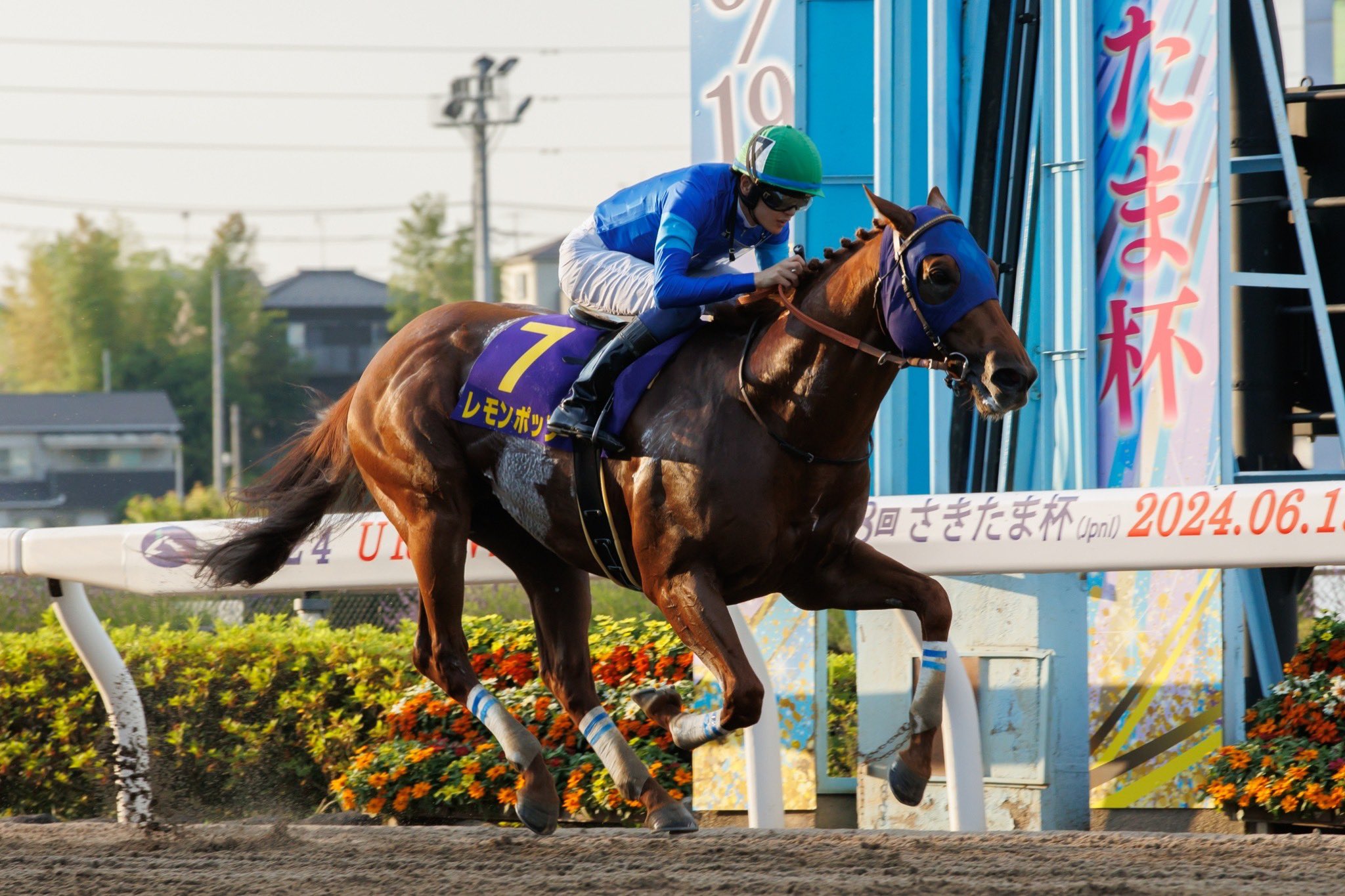 地方競馬全国協会(NAR)公式 on X: 