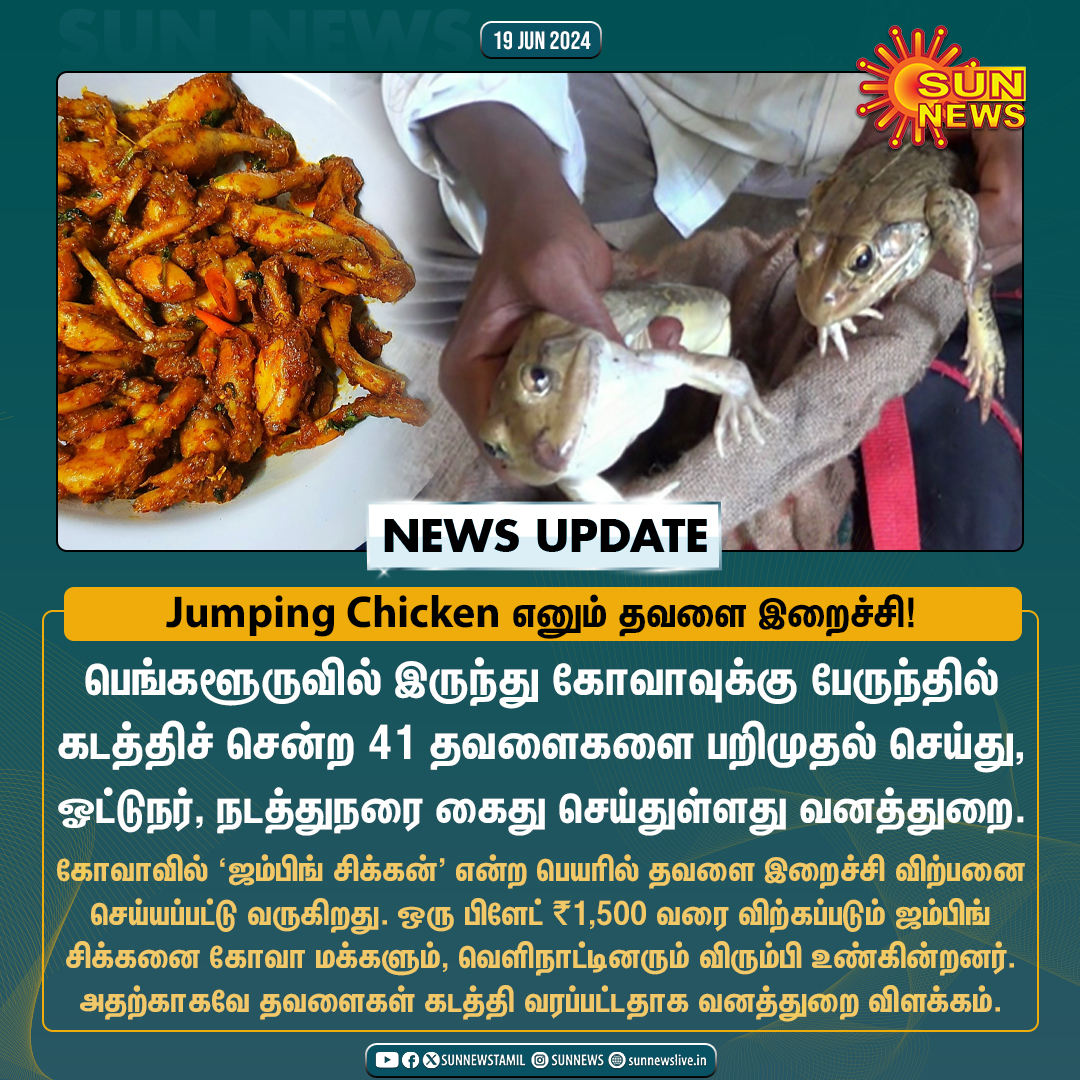 sunnewstamil's tweet photo. #NewsUpdate | இறைச்சிக்காக தவளைகளை கடத்திச் சென்ற இருவர் கைது.
#SunNews | #JumpingChicken | #Frogs https://t.co/JS99SlNd87