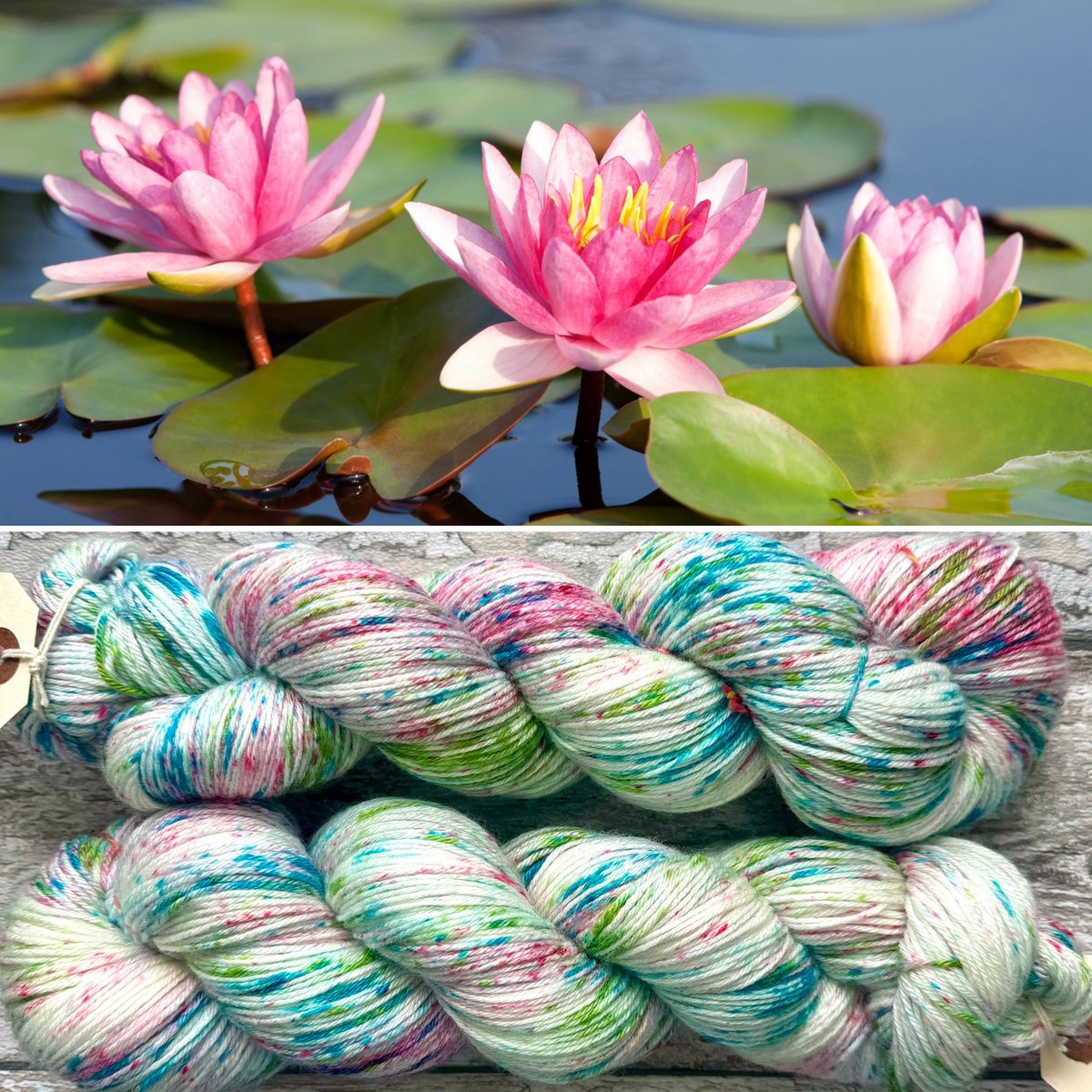 “Pink Waterlilies” on merino/nylon and merino/bamboo sock. I noticed that folk seemed to preferentially pick out the skeins of “Lily the Pink” with the least pink on them so I have dyed a less pink version for you to enjoy.
#mothyandthesquid #yarn #knitting #crochet
