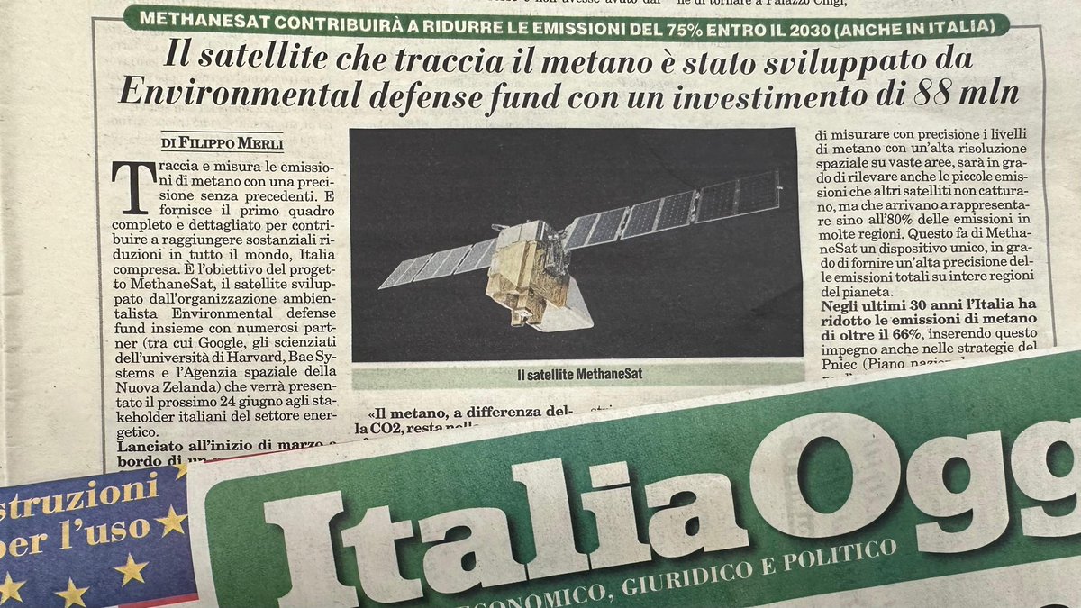 Flavia Sollazzo tweet media