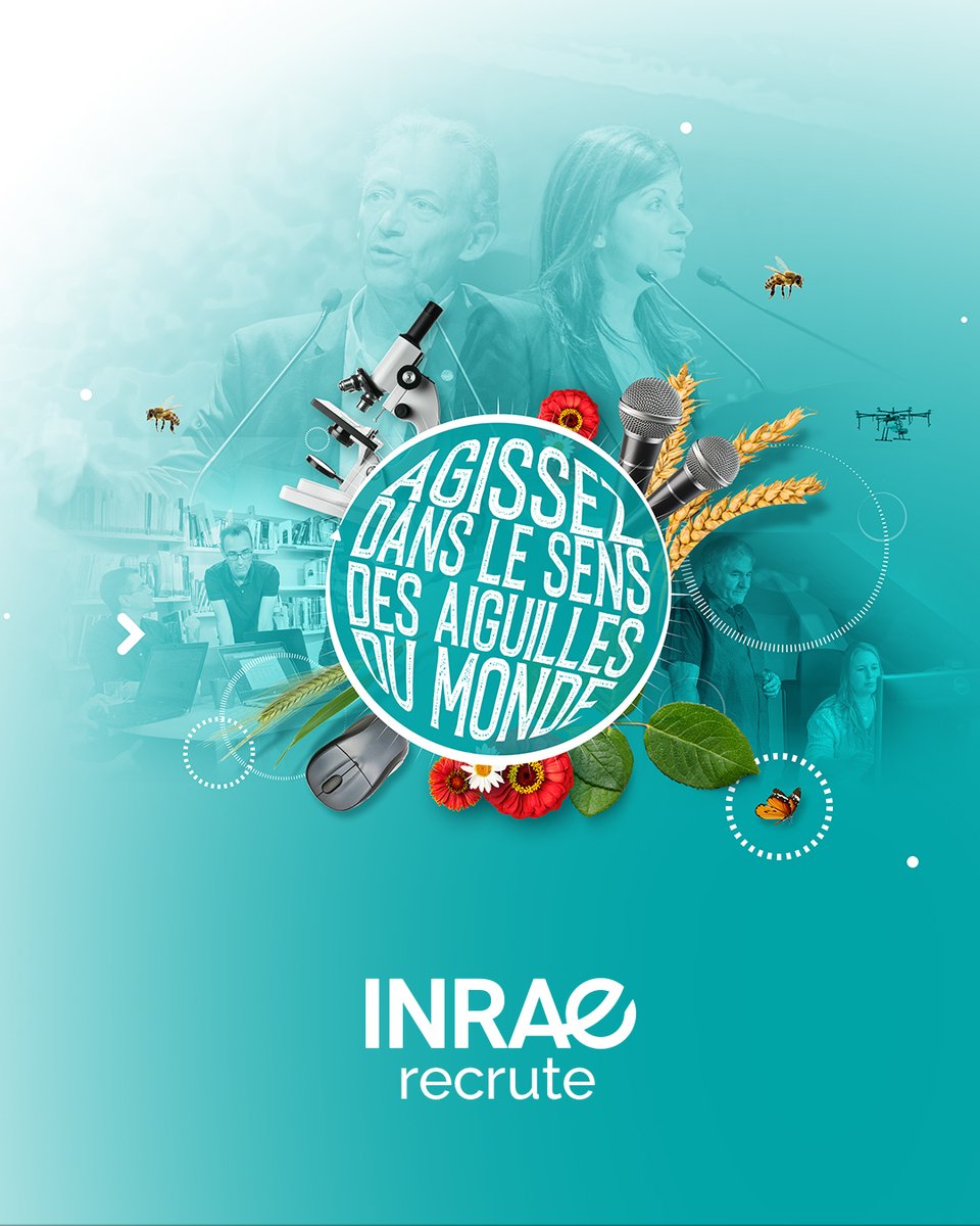 🌟 INRAE recrute des directeurs de recherche de 2e classe (F/H) 🌟

🔍 Passionné par la recherche et la coordination de projets innovants ? Le concours de directeurs et directrices de recherche est fait pour vous !

ℹ Ce concours est ouvert :

▪ Aux candidats appartenant au
