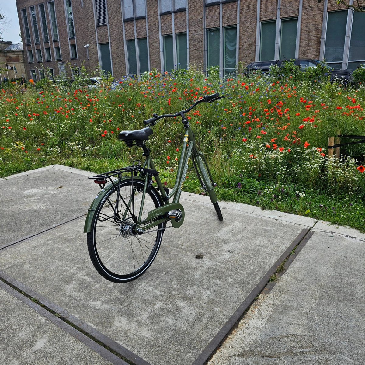 Naseem__A's tweet photo. Ghent #Velocity loving the #poppies and #wildflowers #cyclinglife ##cyclingisforeveryone https://t.co/gnMzKKX1DY