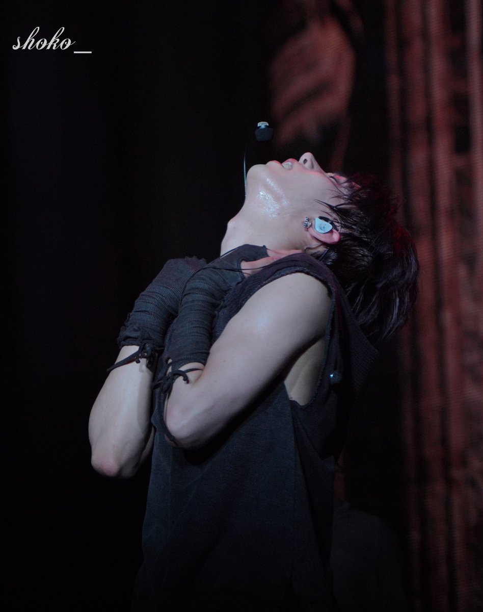 SHOKO_（fan acc） tweet media