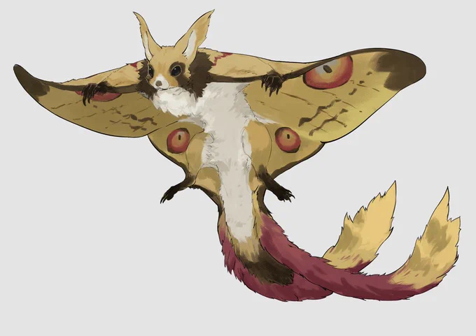 マダガスカルオナガヤママユ+ムササビ 