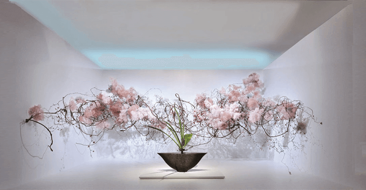 aneuve00916's tweet photo. https://t.co/dGjMqy7C6h                               June15, 2024

The Art of Ikebana: Discovering the Serenity and Beauty of Japanese Flower Arranging

#ikebana  #flower arrangement https://t.co/uRkzvIb5l7