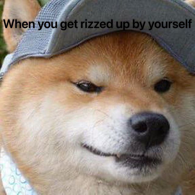 tezzytheshiba's tweet photo. @degengambleh Lessgo, broski, community took over, we got setup eveything hella quick $Rizzy curling up https://t.co/z3aFxlYDwT