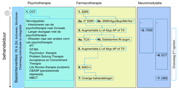 Deep Brain Stimulation is included in the treatment algorithm of the new guidelines voor depression in the Netherlands 🧠🇳🇱

Looking forward to working on implementation, together with the international DBS in Depression Interest Group (DBS-DIG), and Dutch DBS platforms